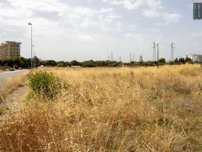 Sulla sinistra si apre invece un�area incolta, quella che fino agli anni 90, ricoperta di breciolina, era il teatro di infuocate partite di pallone 11 contro 11. Siamo infatti davanti all�ex �Campo Gescal�, uno dei vecchi terreni di gioco che caratterizzavano i quartieri periferici di Bari